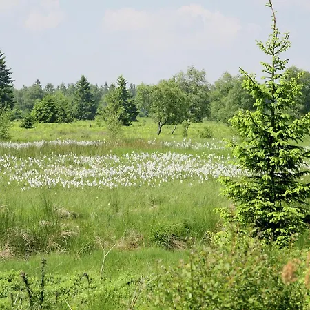 بيت للعطل Holiday House In A Horse Riding School And Spa