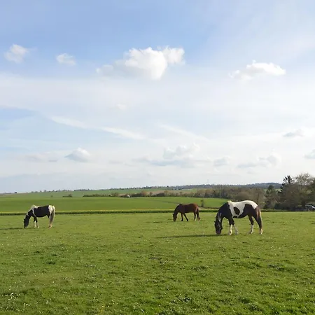 Holiday House In A Horse Riding School And Spa Stavelot