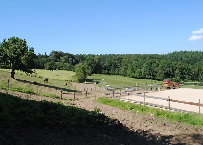 Holiday House In A Horse Riding School And Spa Stavelot