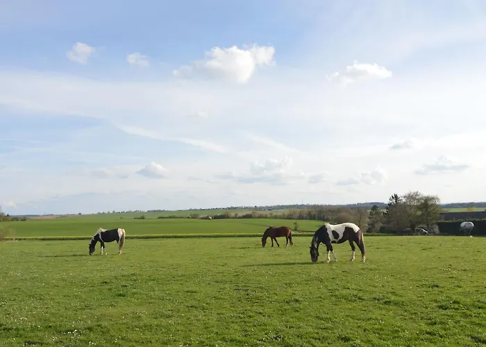 Holiday House In A Horse Riding School And Spa Stavelot